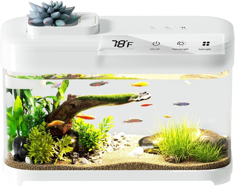 3 Gallon Smart Betta Fish Tank with Color Lighting & Filtration