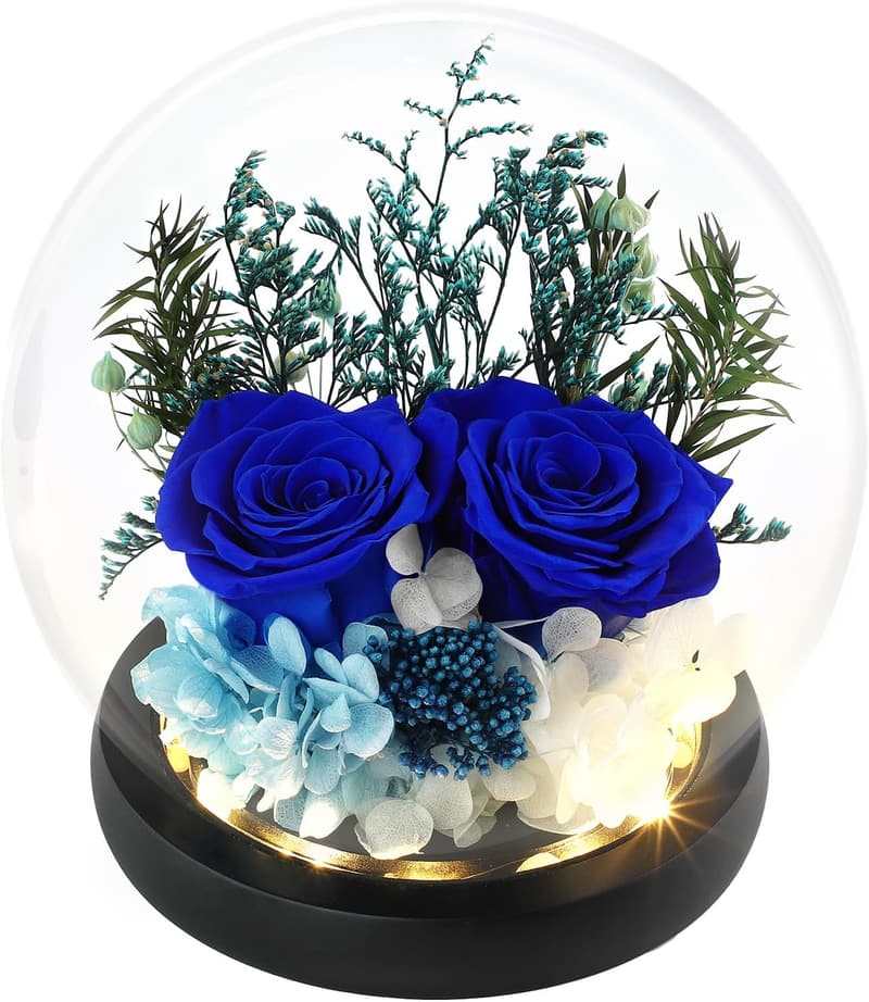 Eternal Royal Blue Roses in Glass Dome for Women