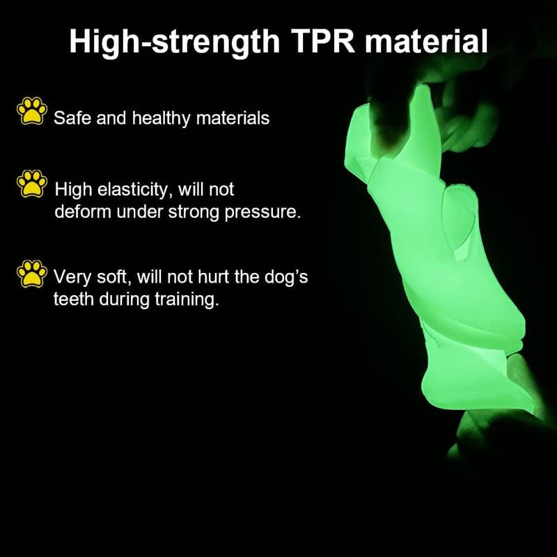 Glow-in-the-Dark Interactive Dog Flyer Toy, 9-inch Lightweight