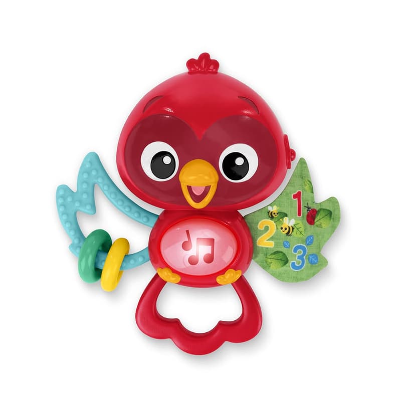 Musical Baby Toy & Teether with Real Bird Sounds, 3+ Months