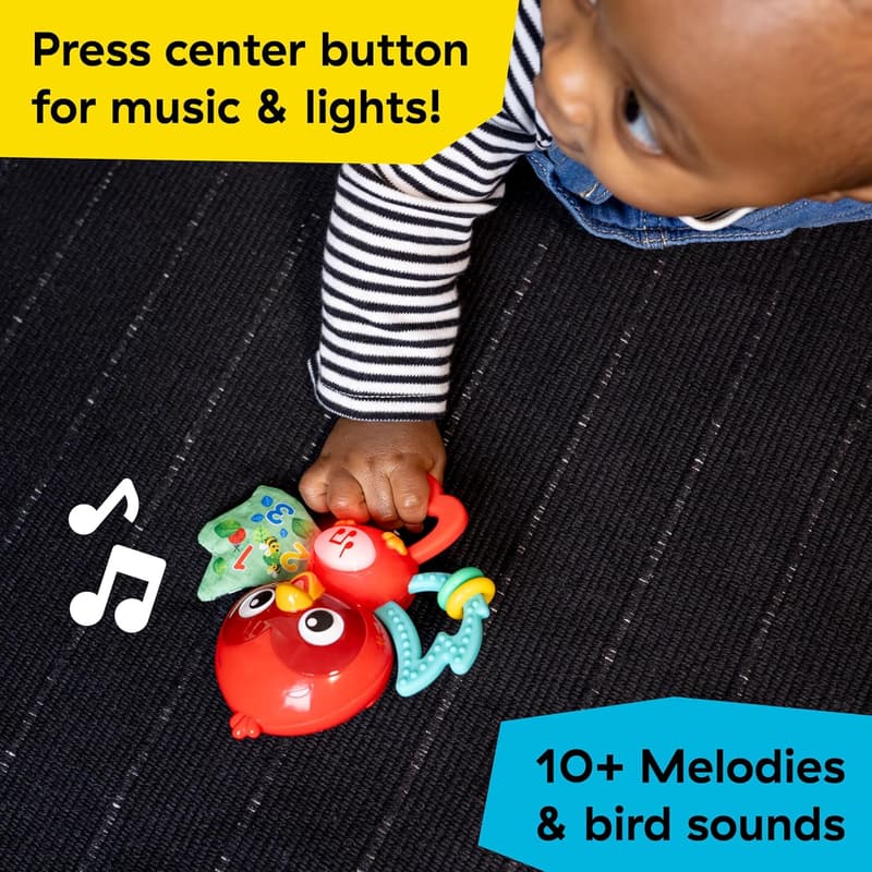 Musical Baby Toy & Teether with Real Bird Sounds, 3+ Months