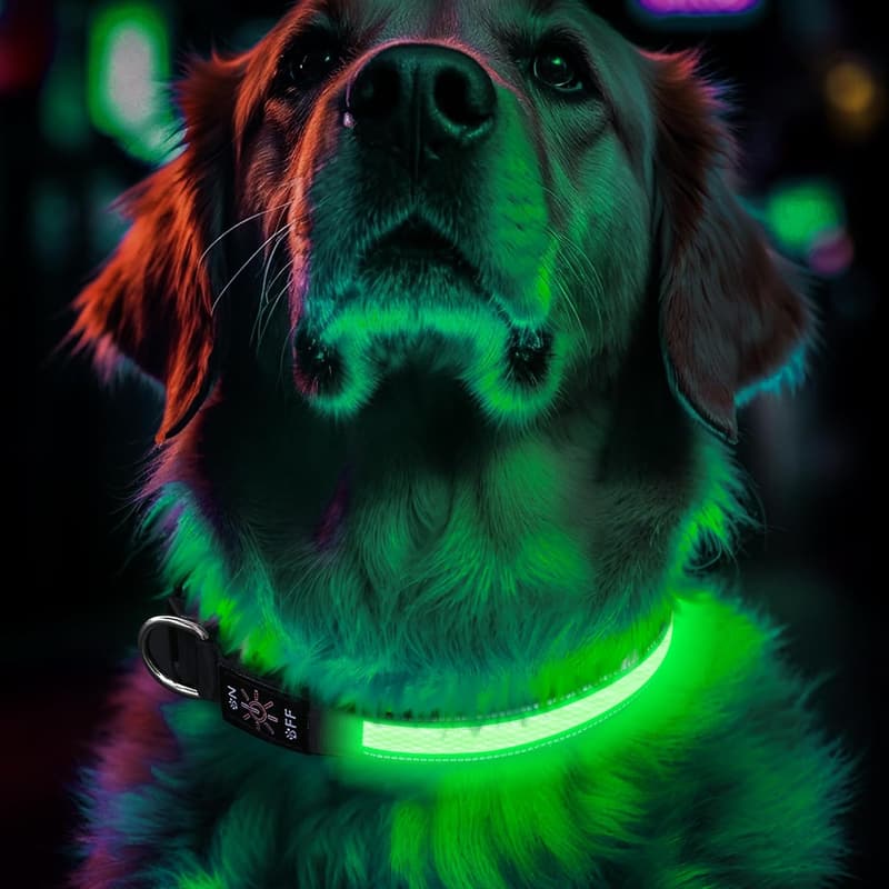 Rechargeable LED Dog Collar for Night Visibility - Green