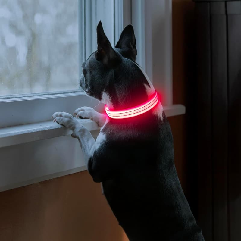 Reflective LED Glow Dog Collar for Safe Night Walks - Pink, Small