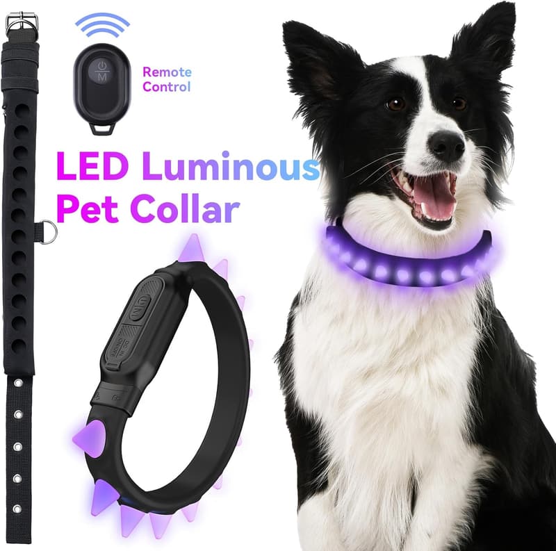 Rechargeable LED Dog Collar with Remote - Adjustable & Waterproof