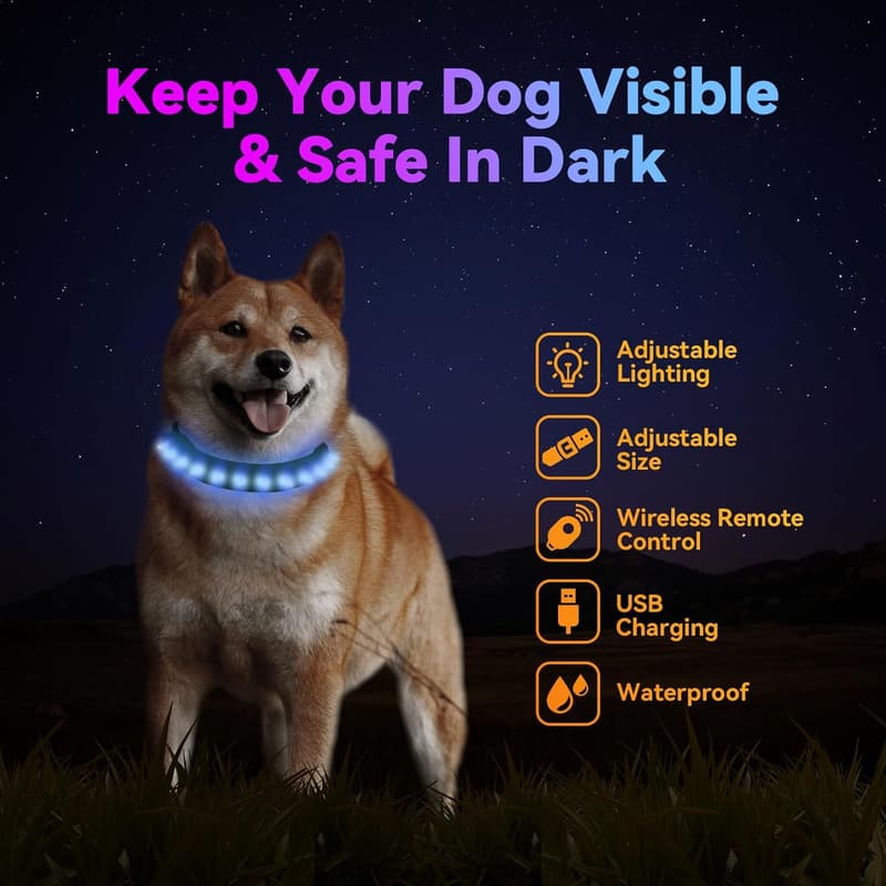 Rechargeable LED Dog Collar with Remote - Adjustable & Waterproof