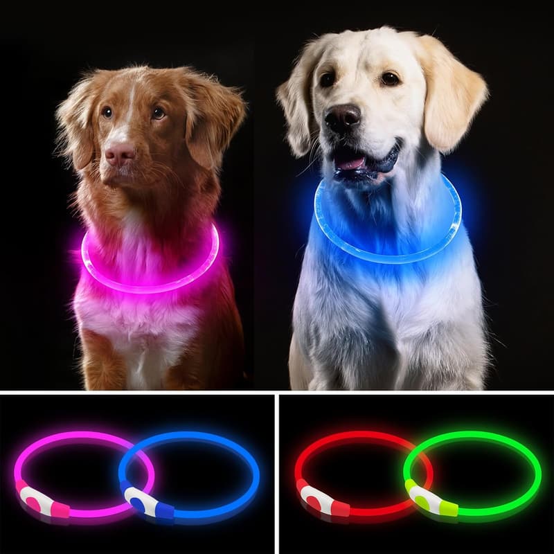 Rechargeable LED Light Up Dog Collar Set for Night Walking (Pink & Blue)
