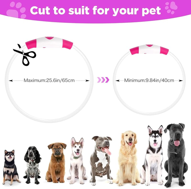 Rechargeable LED Light Up Dog Collar Set for Night Walking (Pink & Blue)