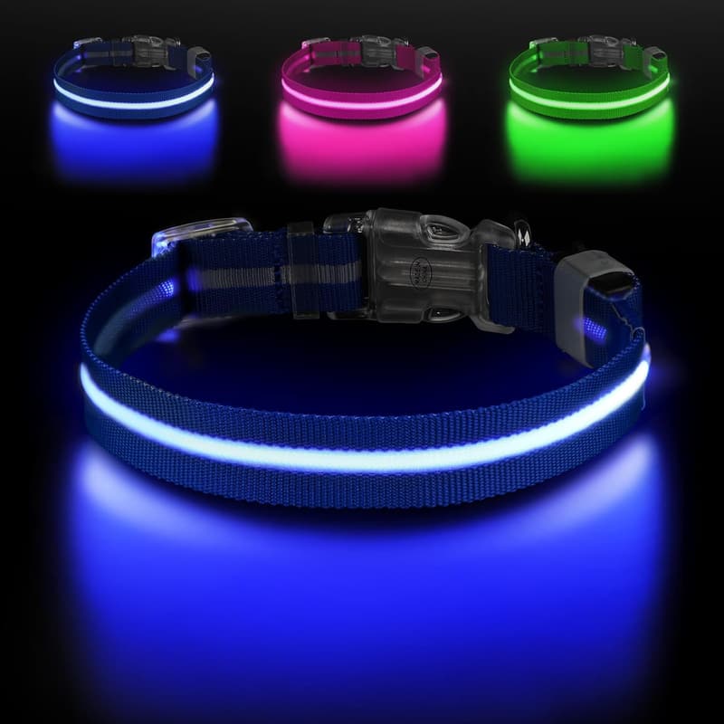 Rechargeable LED Dog Collar for Night Walking, Blue, Small