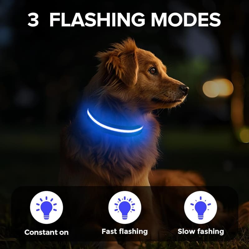 Rechargeable LED Dog Collar for Night Walking, Blue, Small