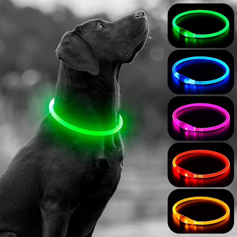 LED Dog Collar - USB Rechargeable Glow Collar for Night Safety
