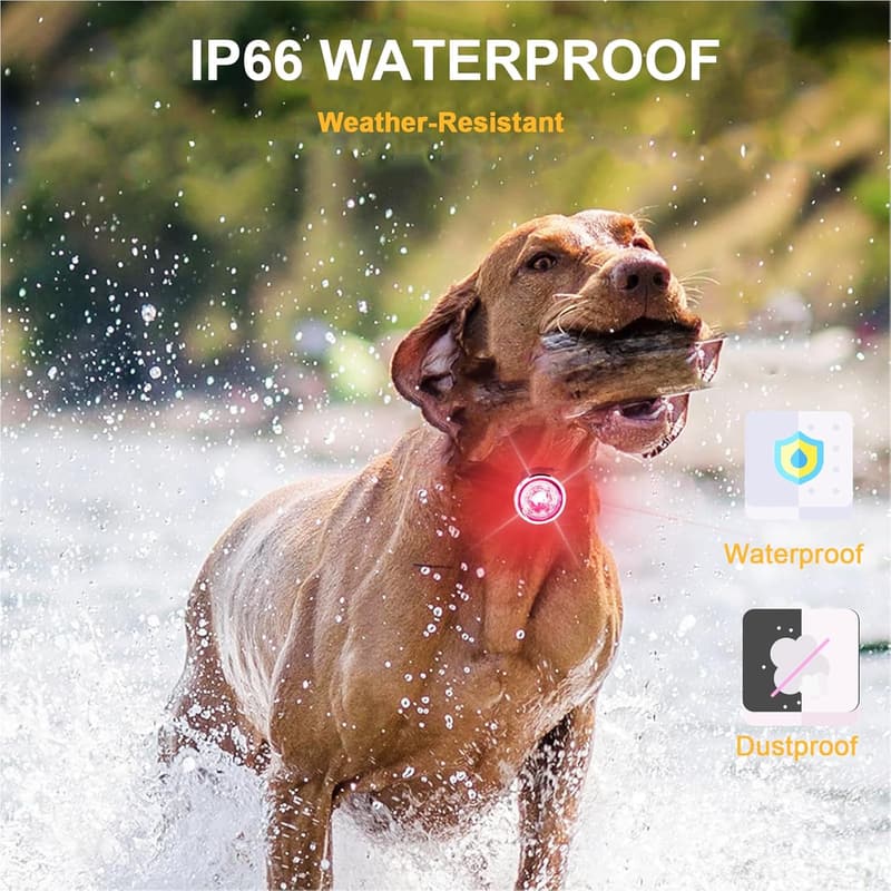 Rechargeable LED Dog Collar Lights - 2-Pack, IP66 Waterproof