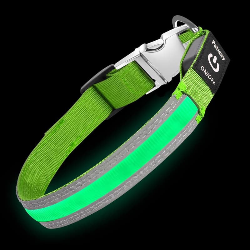Rechargeable LED Dog Collar with Metal Buckle - Waterproof, Medium Green