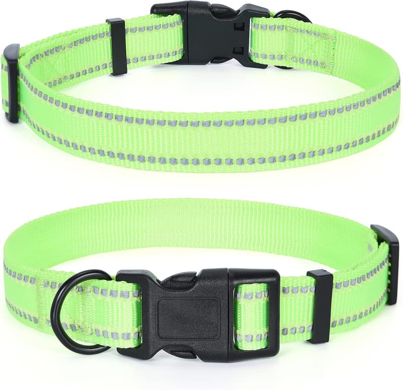 Reflective Light-Up Dog Collar for Small to Large Dogs - Lime