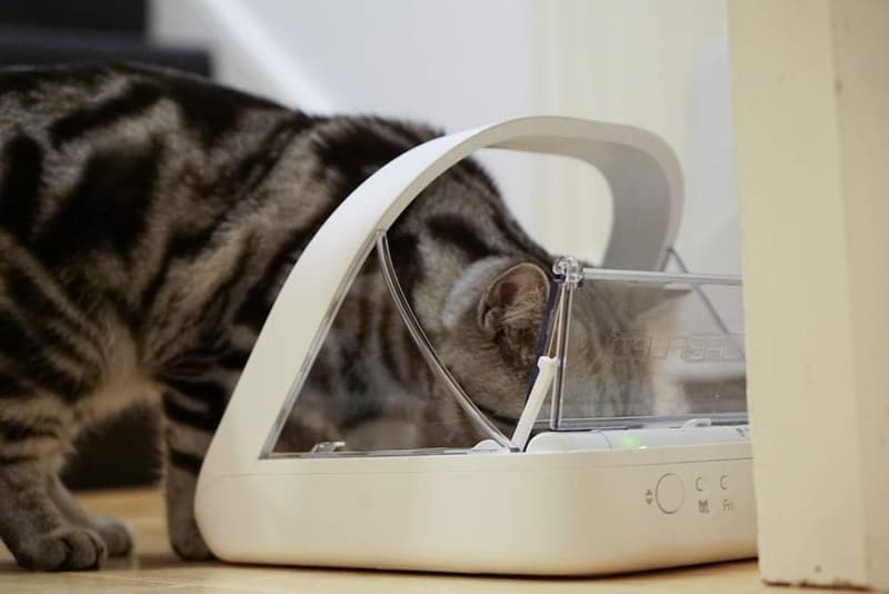 Microchip Pet Feeder - Selective Automatic for Stress-Free Meals