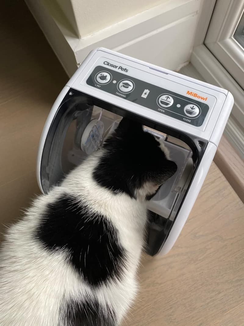 Automatic Microchip Pet Feeder for Cats & Small Dogs - BPA-Free