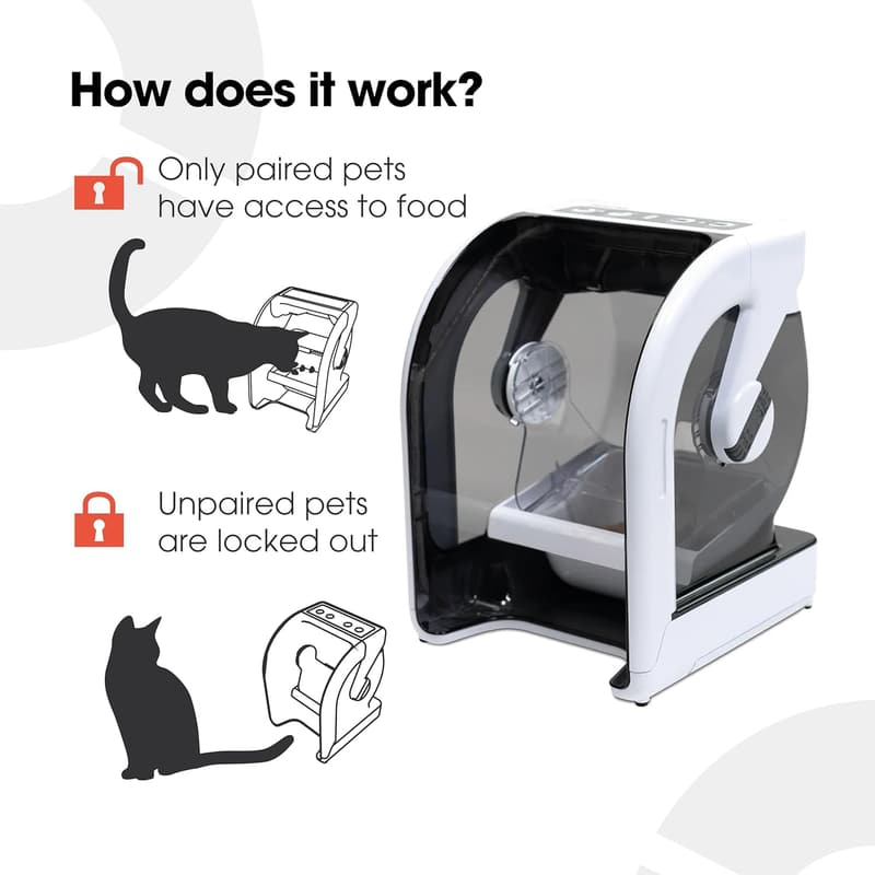 Automatic Microchip Pet Feeder for Cats & Small Dogs
