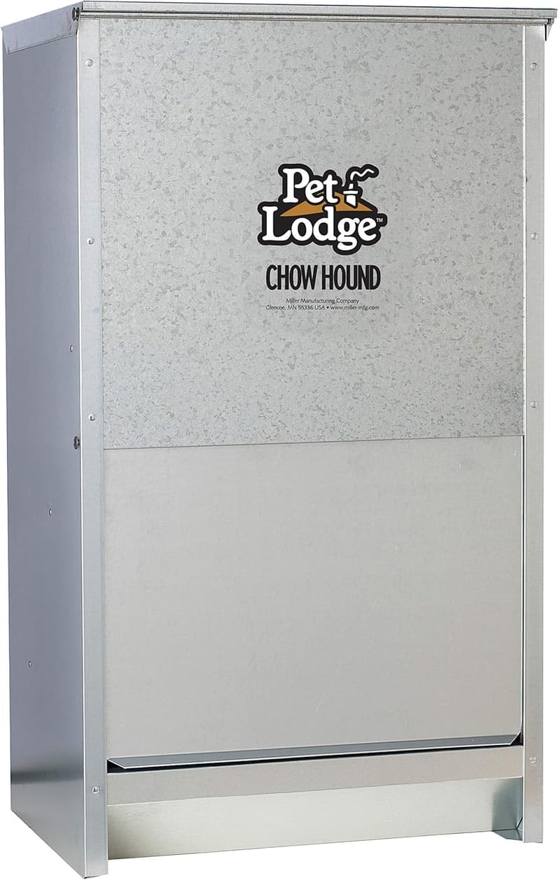 Outdoor Automatic Dog Feeder for Large Dogs - 50 lb Galvanized Steel