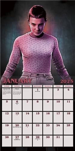 Deluxe 2025 Stranger Things Wall Calendar with Stickers