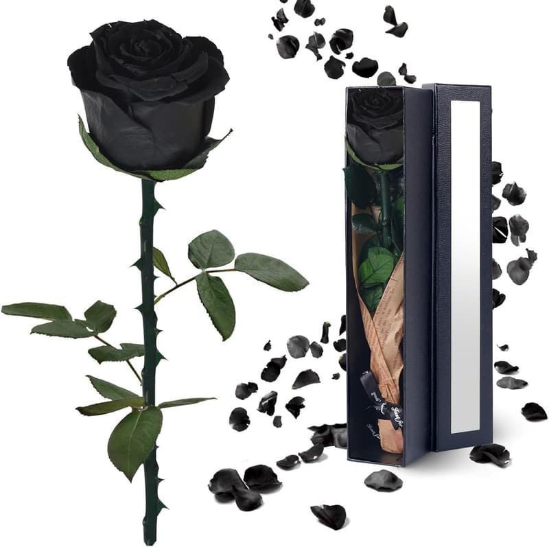Birthday Gift - Black Preserved Roses for Women