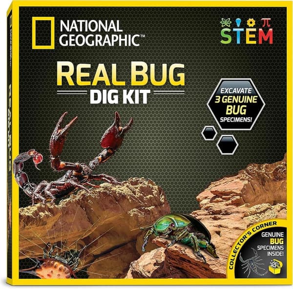 Real Bug Dig Kit - Discover 3 Insects for STEM Learning