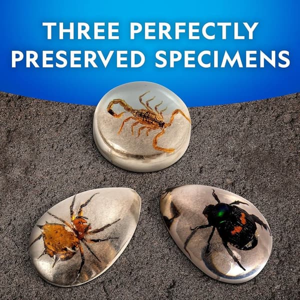 Real Bug Dig Kit - Discover 3 Insects for STEM Learning
