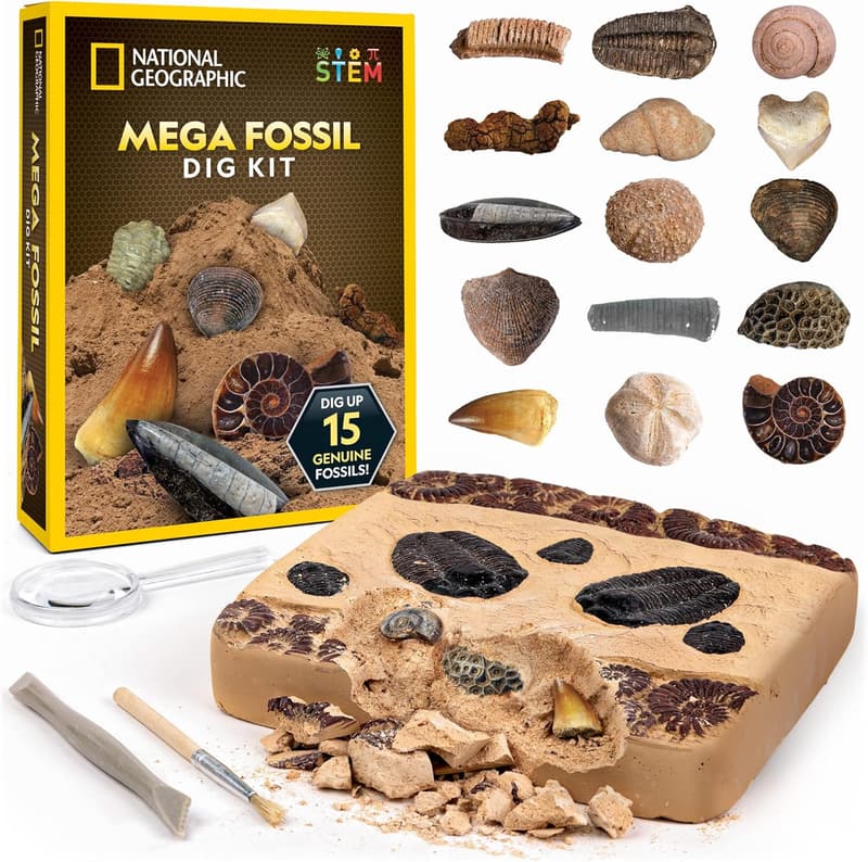 Educational Mega Fossil Dig Kit for Kids - Excavate 15 Fossils
