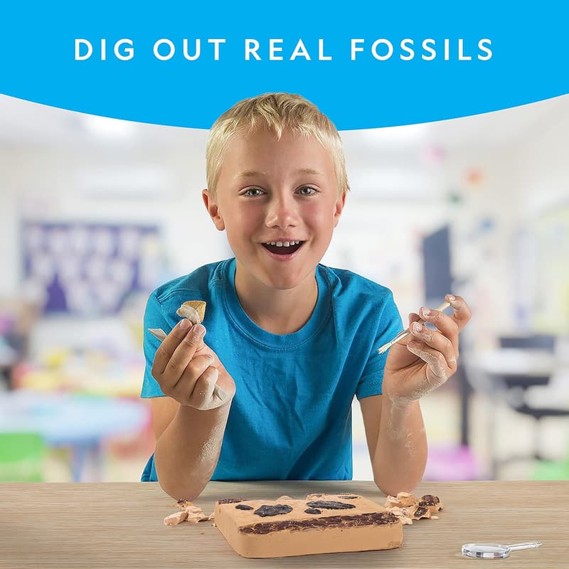 Educational Mega Fossil Dig Kit for Kids - Excavate 15 Fossils