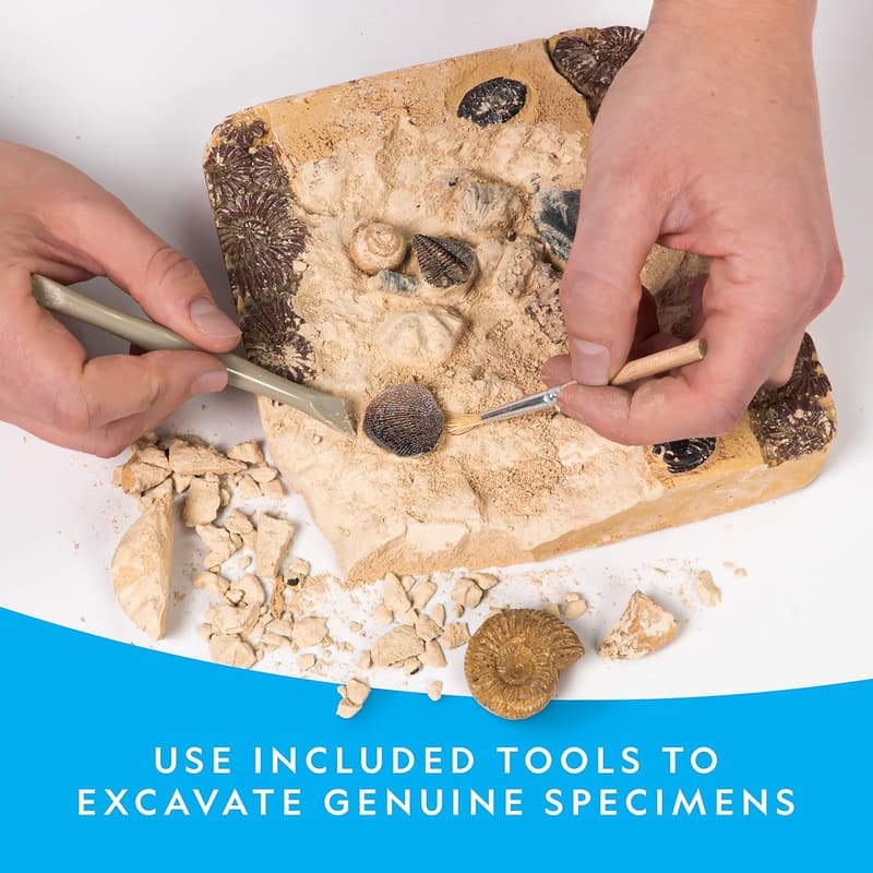 Educational Mega Fossil Dig Kit for Kids - Excavate 15 Fossils