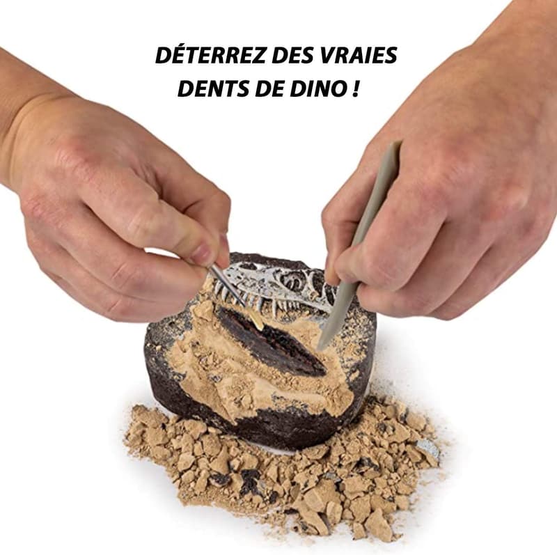 Dinosaur Dig Kit - STEM Excavation Set for Kids 8+