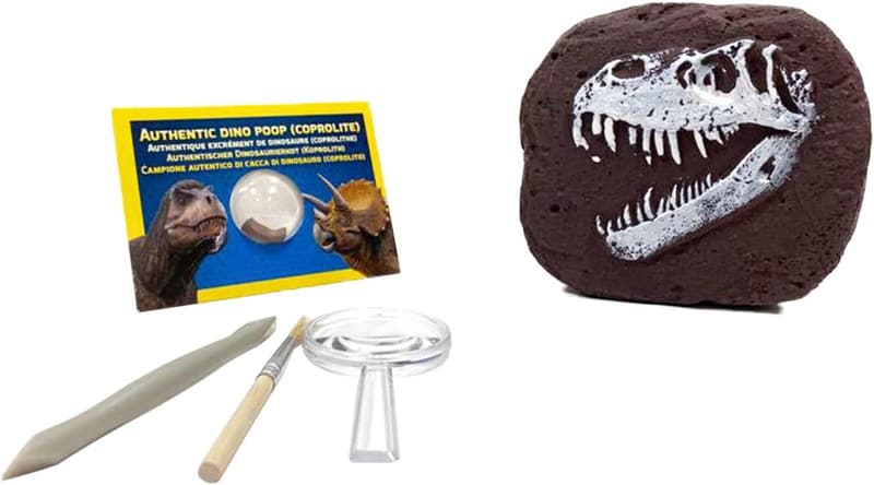 Dinosaur Dig Kit - STEM Excavation Set for Kids 8+