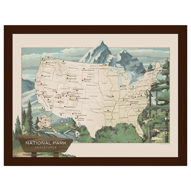 USA National Parks Push Pin Travel Map with Espresso Frame