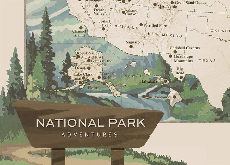 USA National Parks Push Pin Travel Map with Espresso Frame