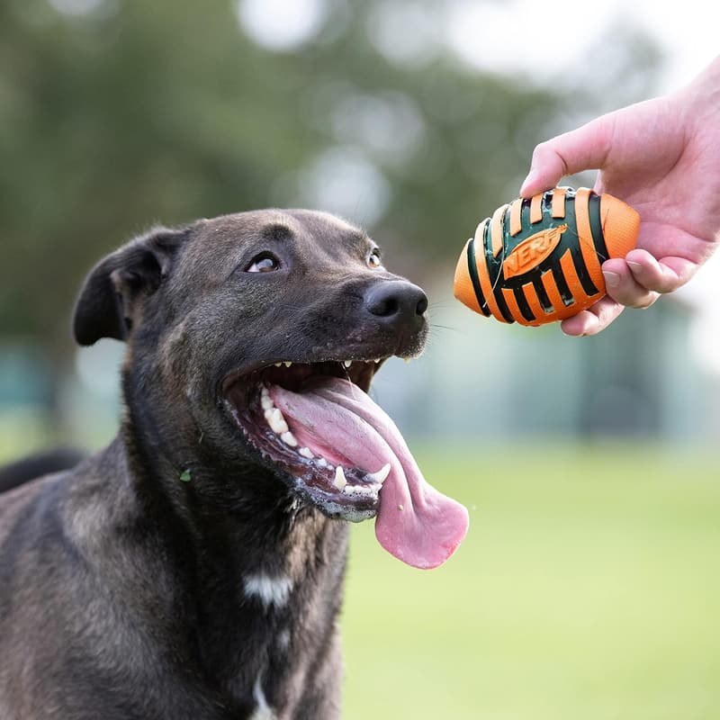 Nerf Dog Squeak Football Toy for Medium & Large Dogs, 5 Inch