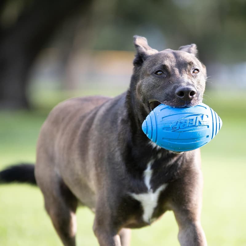 Interactive Blue Nerf Dog Football Toy for Medium/Large Breeds