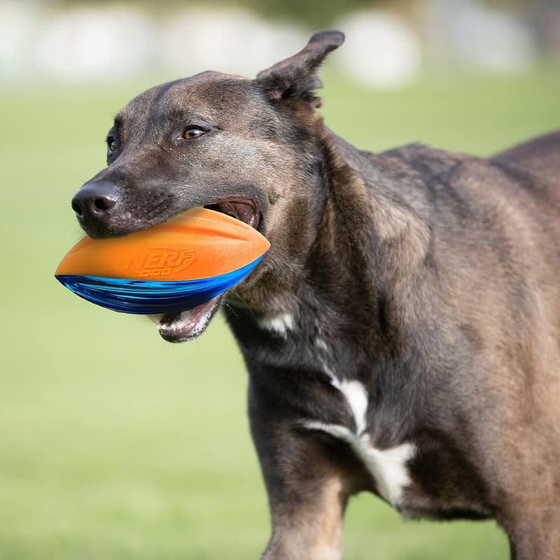 Interactive 6-Inch Nerf Dog Rubber Football Toy for Medium/Large Breeds