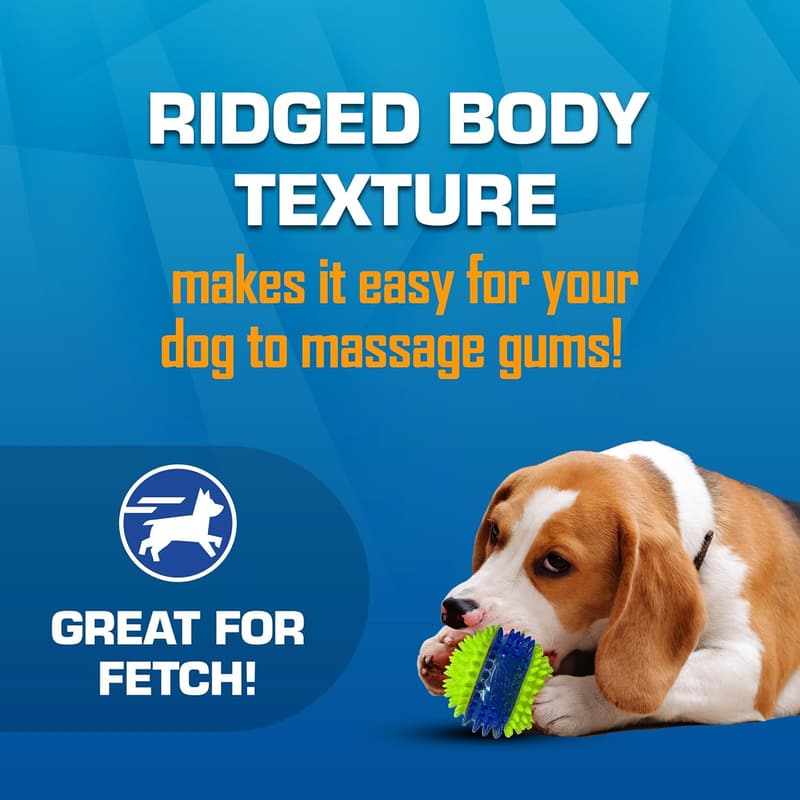 Outdoor Dog Toy Gift Set - 3-Piece Fetch Toys