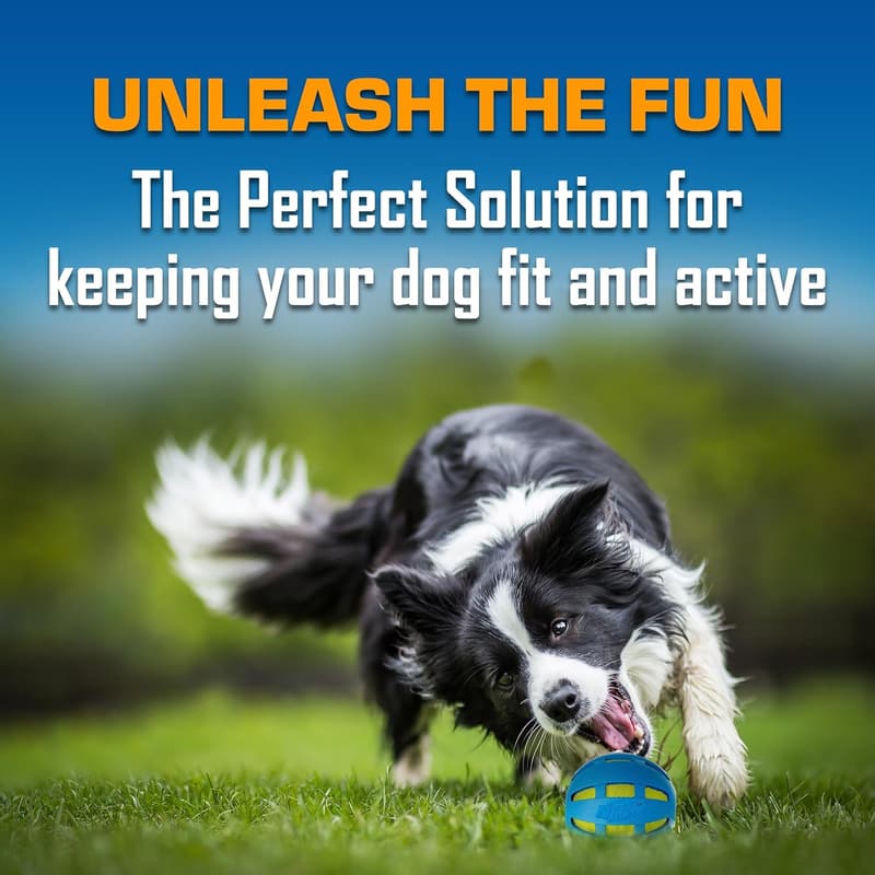 Outdoor Dog Toy Gift Set - 3-Piece Fetch Toys