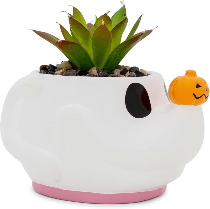 Disney Nightmare Before Christmas Zero Mini Planter with Succulent