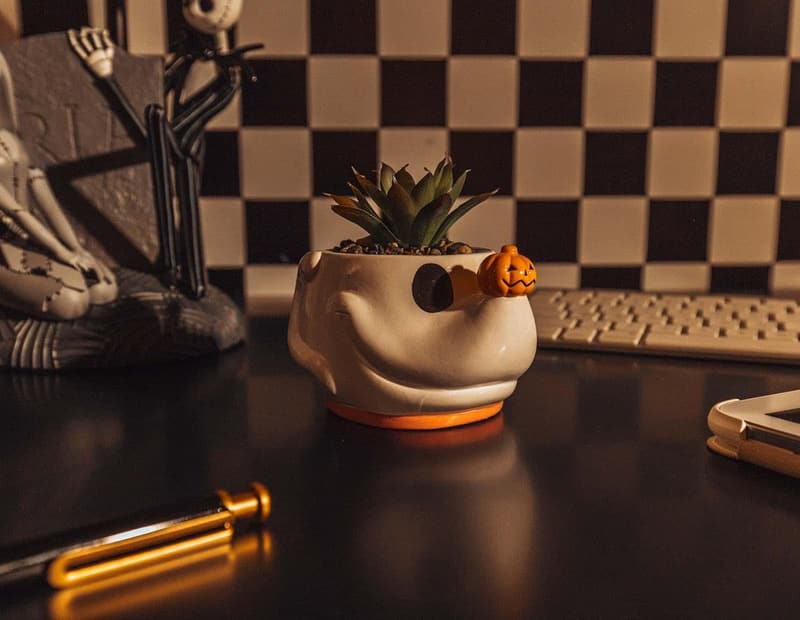 Disney Nightmare Before Christmas Zero Mini Planter with Succulent