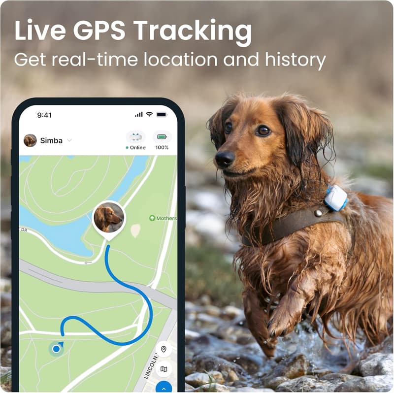 Tractive GPS Dog Tracker - Real-time Location & Health Alerts