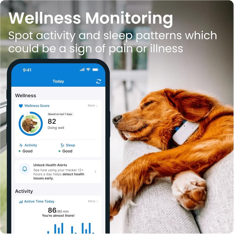 Tractive GPS Dog Tracker - Real-time Location & Health Alerts