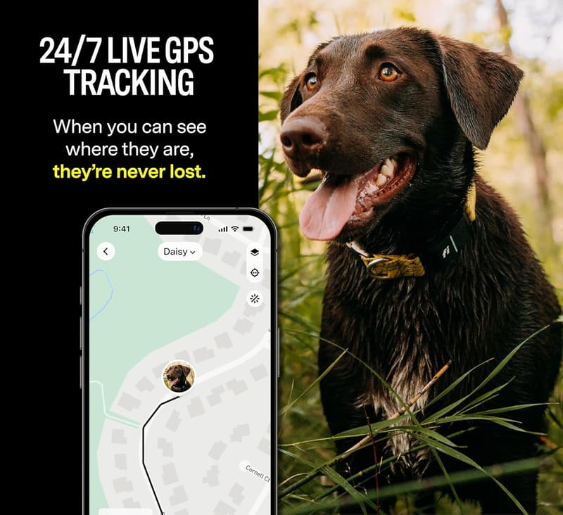 Dog GPS Collar - Waterproof Activity & Health Monitor, LED Alerts
