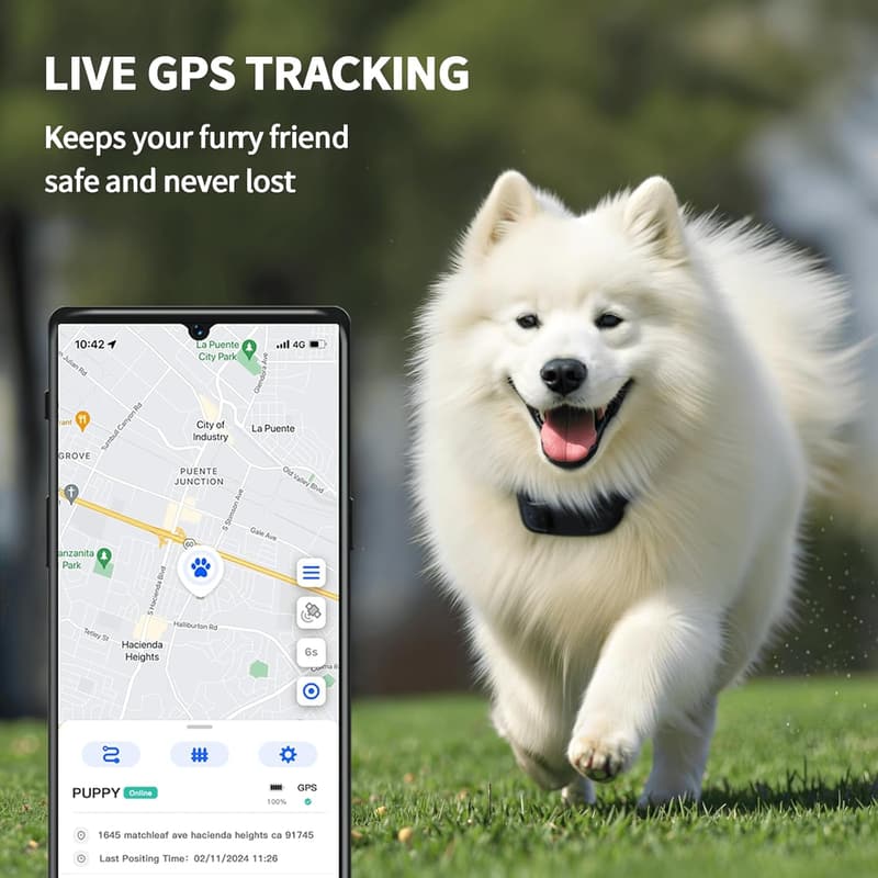 Wireless GPS Dog Tracker – No Fees, Waterproof, Long Battery Life