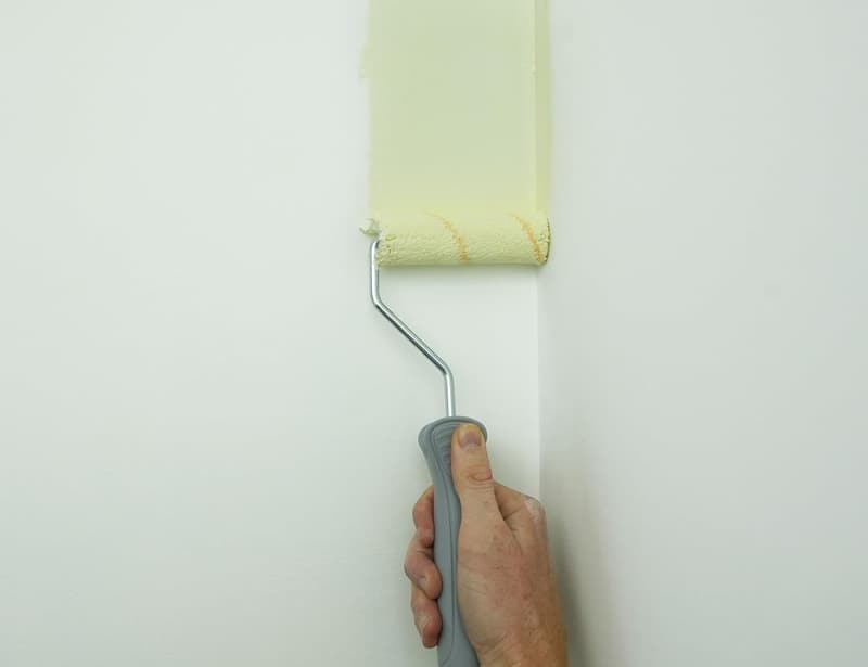 Paint Roller Kit with Extension Pole - 9