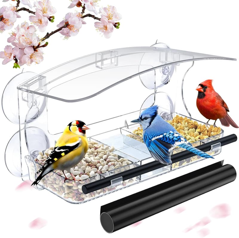 Outdoor Bird Feeder with Suction Cups - Unique Gift for Mom