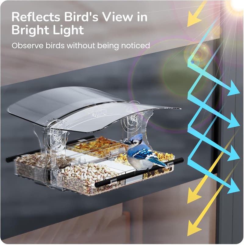 Outdoor Bird Feeder with Suction Cups - Unique Gift for Mom