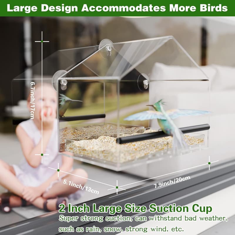 Clear Acrylic Window Bird Feeder with Strong Suction Cups
