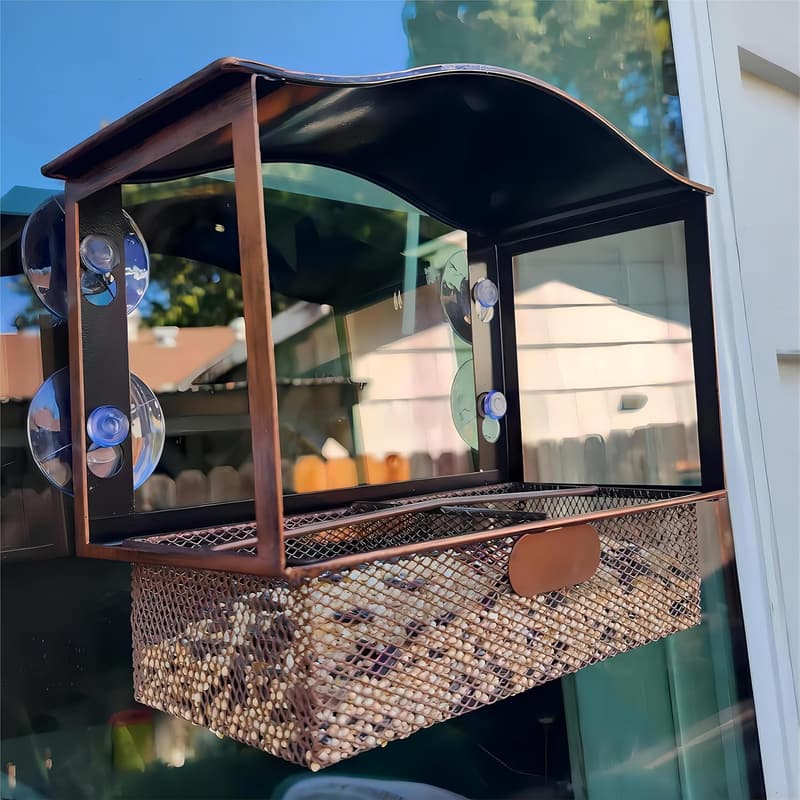 Window Bird Feeder with Suction Cups for Bird Watching