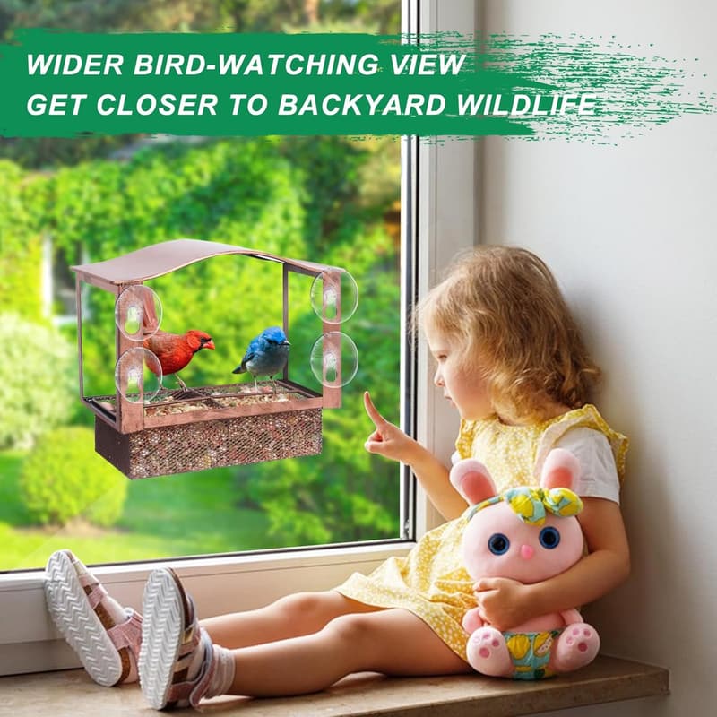 Window Bird Feeder with Suction Cups for Bird Watching