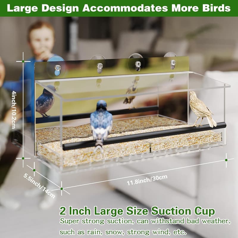 Clear Acrylic Window Bird Feeder with 4 Suction Cups for Bird Lovers